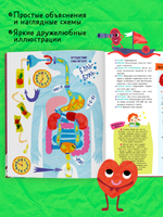 Любимая детская энциклопедия. Тело человека и как оно работает