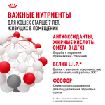 Royal Canin Indoor Sterilized 7+ Индор стерилайзд Корм влажный для стерилизованных кошек в возрасте от 7 до 12 лет живущих в помещении желе 85г