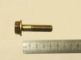 Болт10х 43х1,25 флянцевый ГРМ 2123 "Нива Шевро" (ОАО «БелЗАН»)