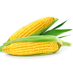 Мирза F1 семена кукурузы (May Seed / Мэй Сид)