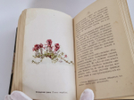 "Наши весенние цветы. Серия 1-3. Наши летние цветы. Серия 1-2". Д.Н.Кайгородов. 1915 г.