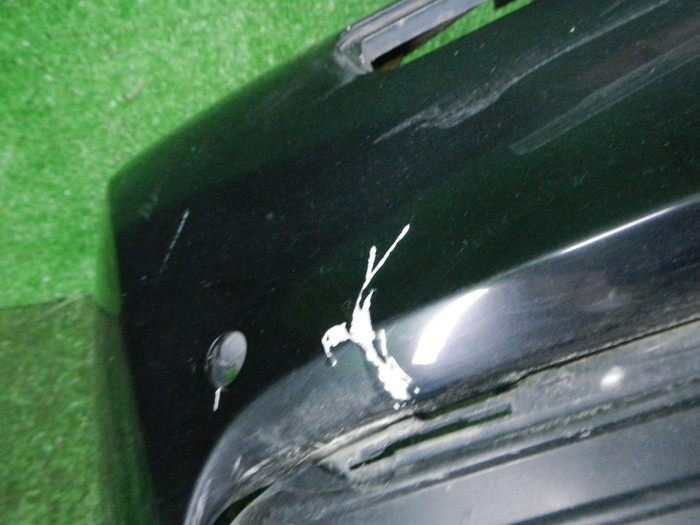 DSCN4612.JPG