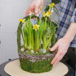 Композиция с первоцветами Лесная корзина L