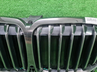 Решетка радиатора BMW X7 G07 (2019-2022)