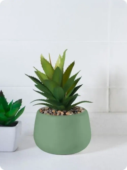 Аэрозольная краска в баллончике Elcon для мебели и декора, акриловая, быстросохнущая, 0.52 л, оливковая роща