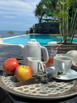 🏆Кухонный нож Alexander S N690 Camo G10