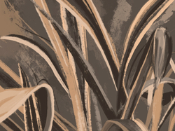 Коллекция ALIVE