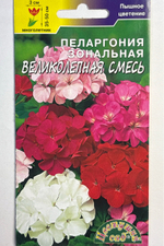 Пеларгония Великолепная, смесь 0,03 г СМЦ-737