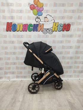 Коляска прогулочная Rant Basic Vortex Black