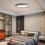 Потолочный дизайнерский светильник Serene by Light Room