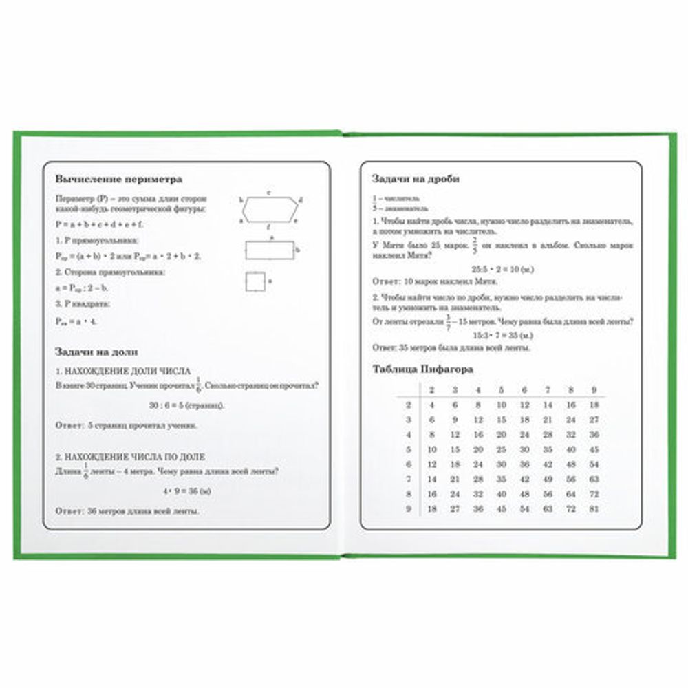 Дневник 1-4 класс 48 л., твердый, BRAUBERG, глянцевая ламинация, с подсказом, "Авокадики", 106359