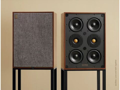 Акустические системы Spotless Audio Eternal 4.6