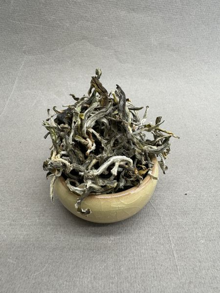 Шен со старых лесных деревьев