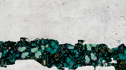 Коллекция WONDERLAND