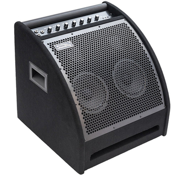 Монитор для электронной ударной установки, 200Вт, Soundking DS200