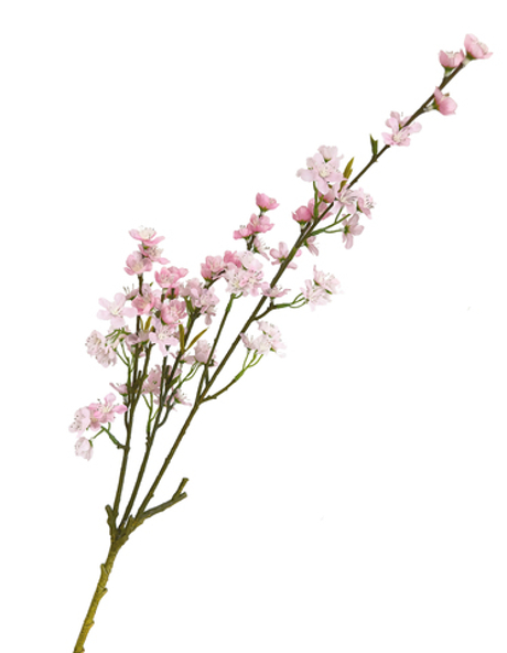 Вишня (розовая) 80 см