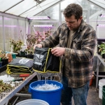 Очистка смол и эфирных масел при работе в ведре на льду