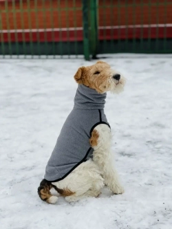 Свитер для собак одежда для басенжди