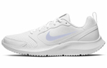 Кроссовки Nike Todos (Женская размерная сетка)