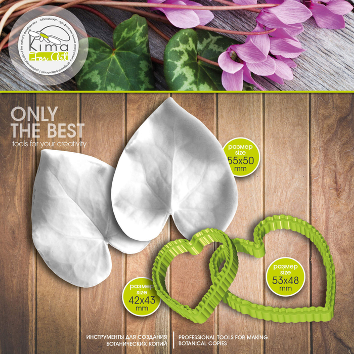 Цикламен лист средний