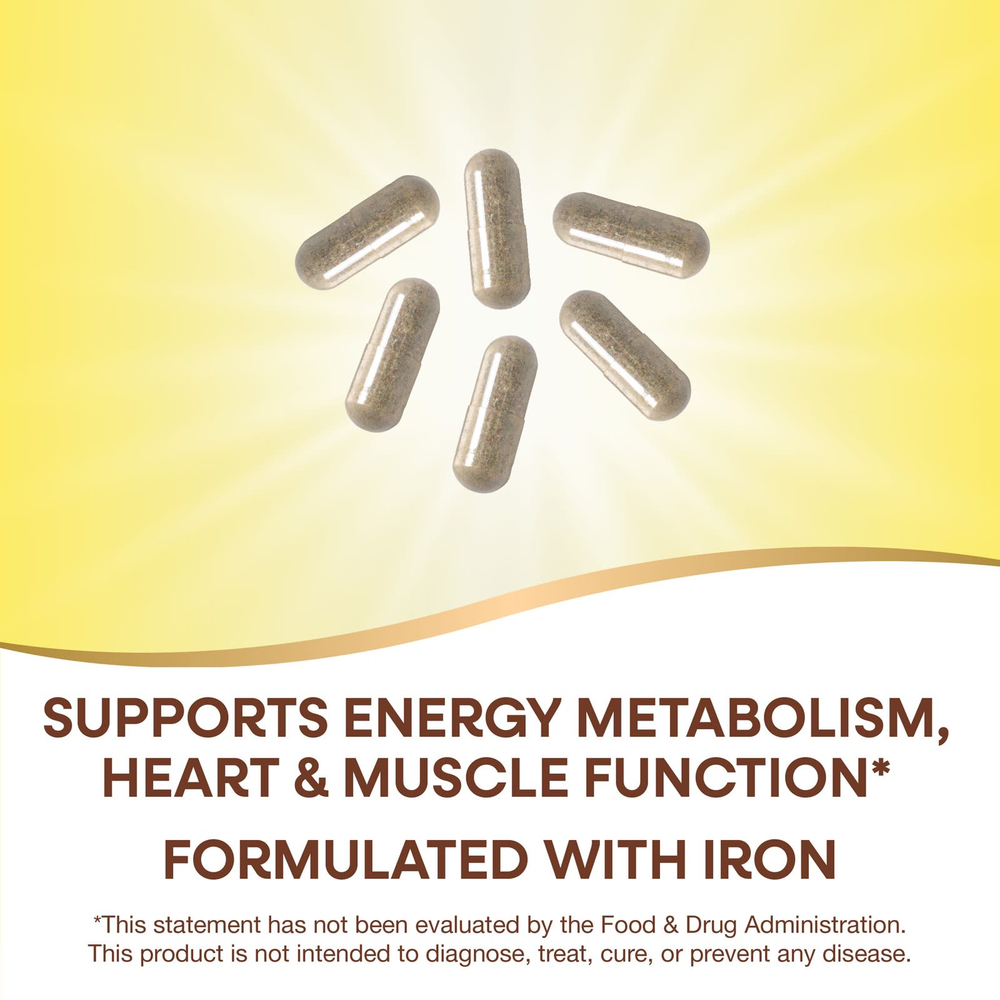 Nature's Way, Alive!® Max 6 Potency, полный мультивитаминный комплекс для взрослых, с железом, 90 капсул