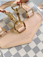 Louis Vuitton Montsouris Backpack PM
