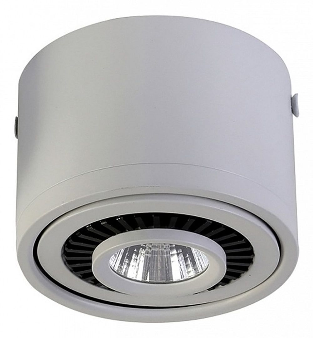 Накладной светильник Favourite Reflector 1775-1C