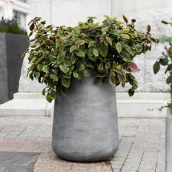 Кашпо CONE CONCRETE GREY LIGHT D32 H36