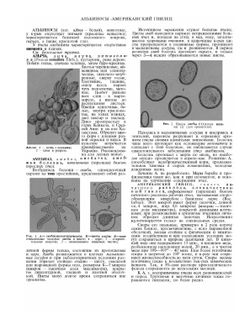Словарь-справочник пчеловода | Н.Ф. Федосов
