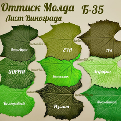 Молд Б-35
