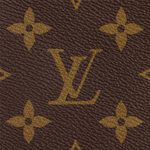 Сумка LOUIS VUITTON Speedy 20, M46234