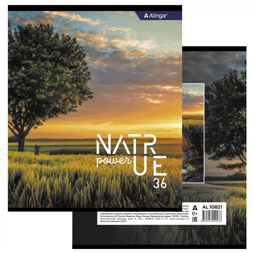 Тетрадь 36 л., А5, клетка, Alingar "Nature power", скрепка, второй блок 60г/м2, мелованный картон (стандарт), 4 дизайна в пленке т/у