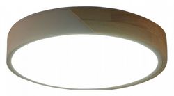 Накладной светильник Zortes Alberro ZRS.01289.24