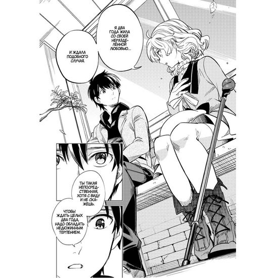 Манга Ложные выводы Том 1