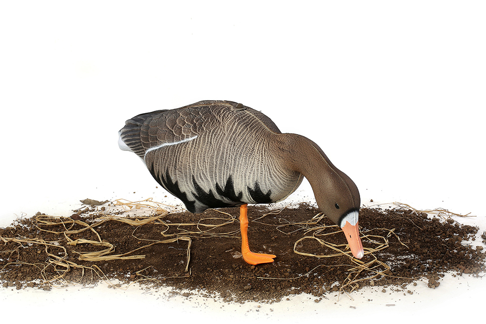 Белолобый гусь S-XPE мод. B6112X