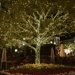 Гирлянда для улицы 16м 180 ламп LED чёрный провод, 8 реж. IP-65, Белый (возможность соединения)