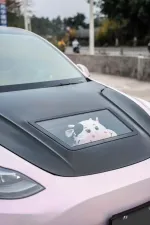 Карбоновый капот для Tesla Model Y 2020+ тесла У накладка на капот