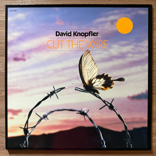David Knopfler – Cut The Wire (Германия 1986г.)