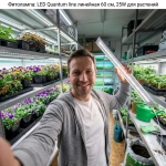 Фитолампа Квантум лайн в руках, крупный план