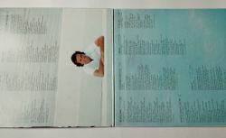 Винтажная виниловая пластинка LP Julio Iglesias De Nina A Mujer (Japan 1981) (No Obi)