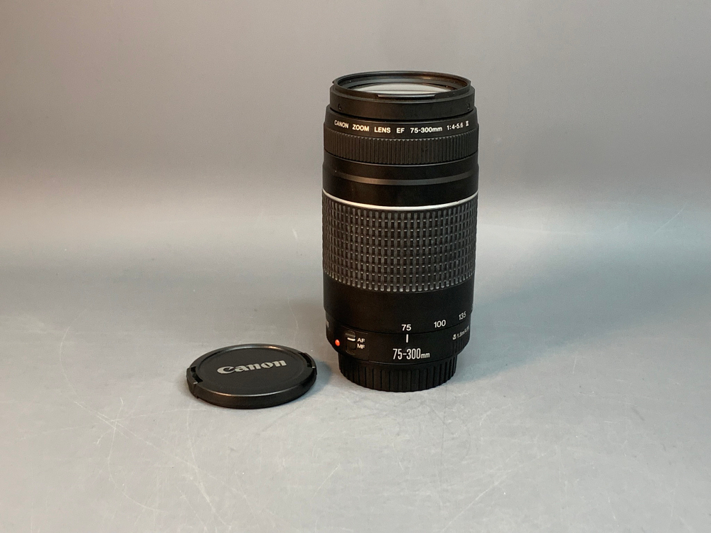 Canon EF 75-300mm 4-5.6 III