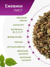 Ежевика лист