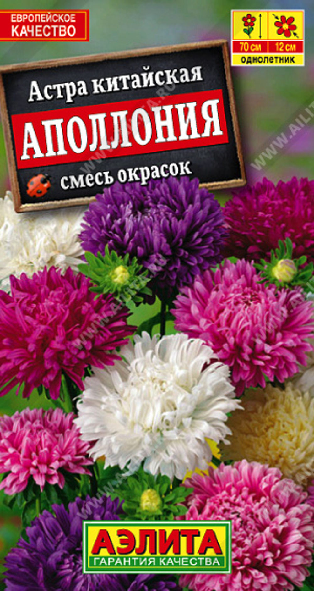 Астра Аполлония, смесь сортов 0,2 гр (Аэлита)
