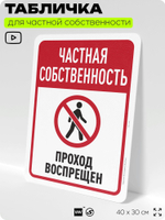 Табличка для частной территории "Частная собственность, проход воспрещен", на дом, для участка, организаций, предупреждающая, 40х30 см, Silver Plane x Айдентика Технолоджи