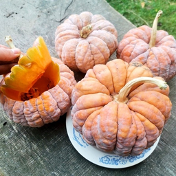 Редкие Овощи и Зелень