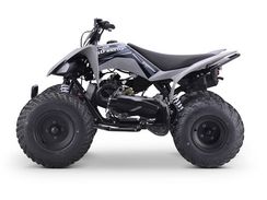 Квадроцикл SHARMAX Raizer Race Cup 250