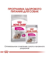 Royal Canin Mini Exigent (Роял Канин Мини Эксиджен) корм сухой для привередливых собак 3 кг.
