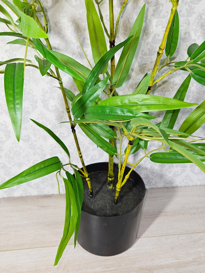 Бамбук растение 120см Панда в кашпо