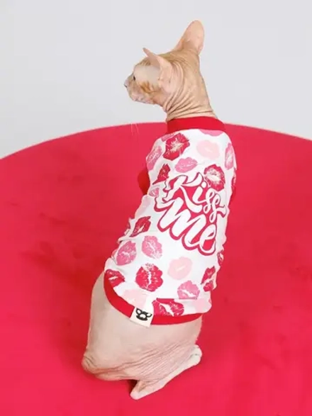 Одежда для кошек сфинкс