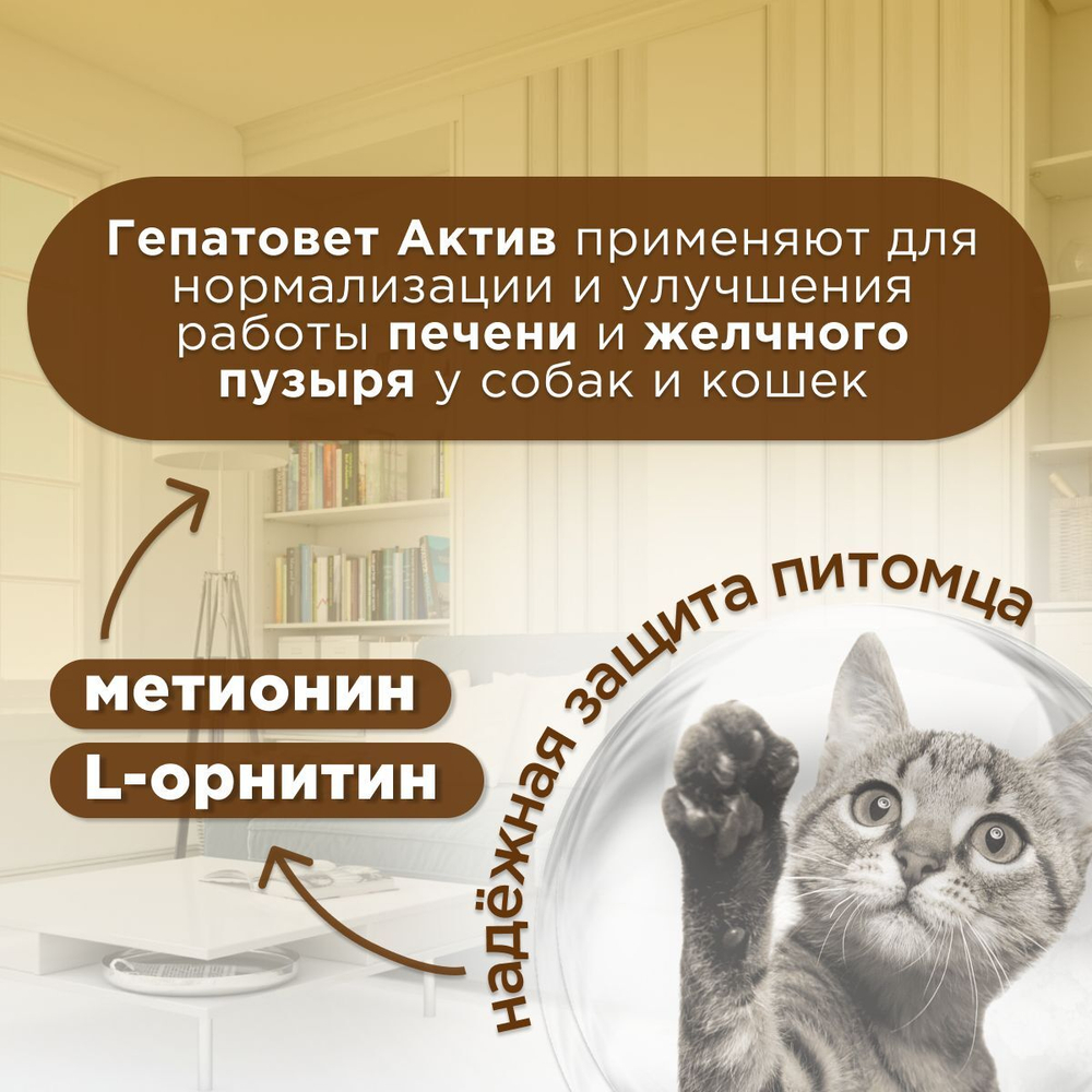 Apicenna Гепатовет Актив для собак и кошек, суспензия для нормализации и улучшения работы печени, 50 мл. Метионин.